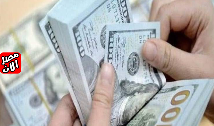 أسعار الدولار مقابل الجنيه المصري في البنوك اليوم الثلاثاء 16 يوليو 2024