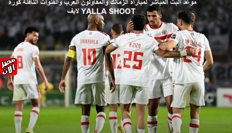 البث المباشر لمباراة الزمالك والمقاولون العرب