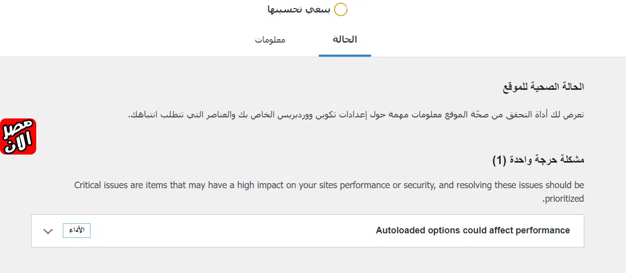 Autoloaded options could affect performance