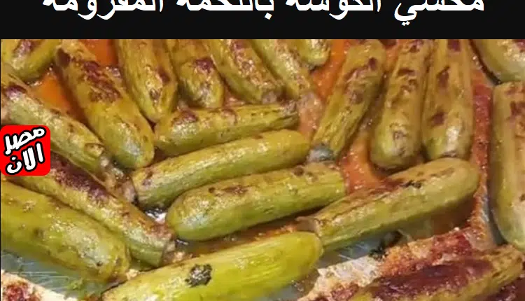 محشي الكوسة باللحمة المفرومة