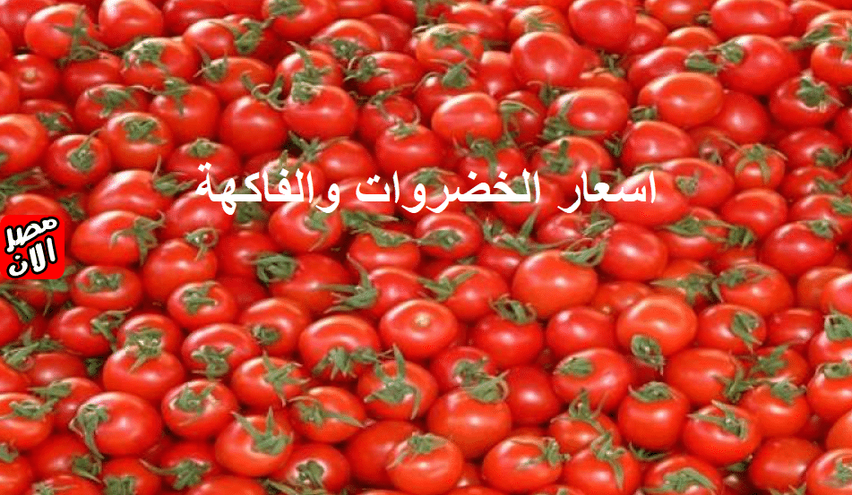 اسعار الخضروات والفاكهة