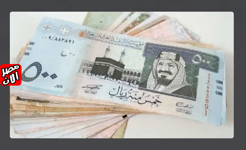 أسعار الريال السعودي مقابل الجنيه المصري يوم الثلاثاء 3 سبتمبر 2024