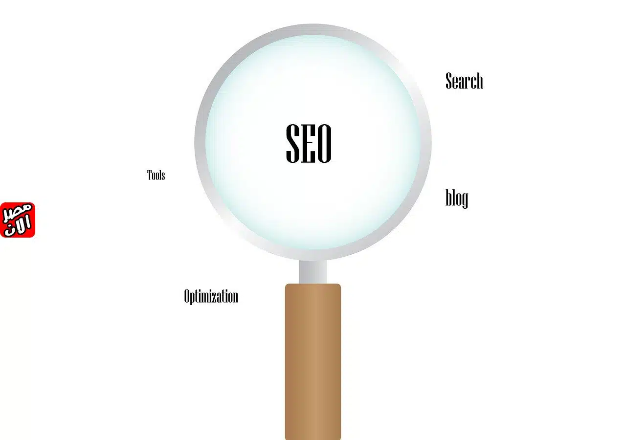 استراتيجيات السيو (SEO)