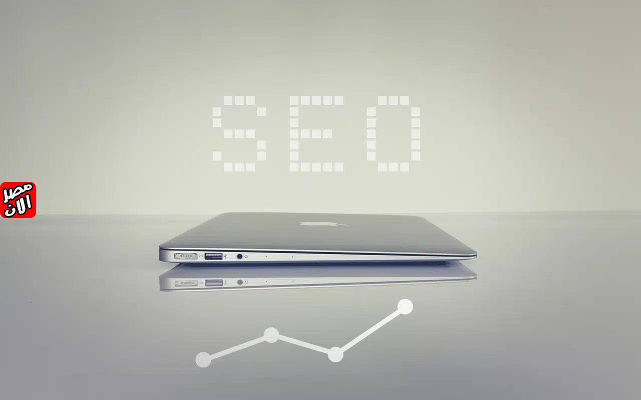 استراتيجيات السيو (SEO)