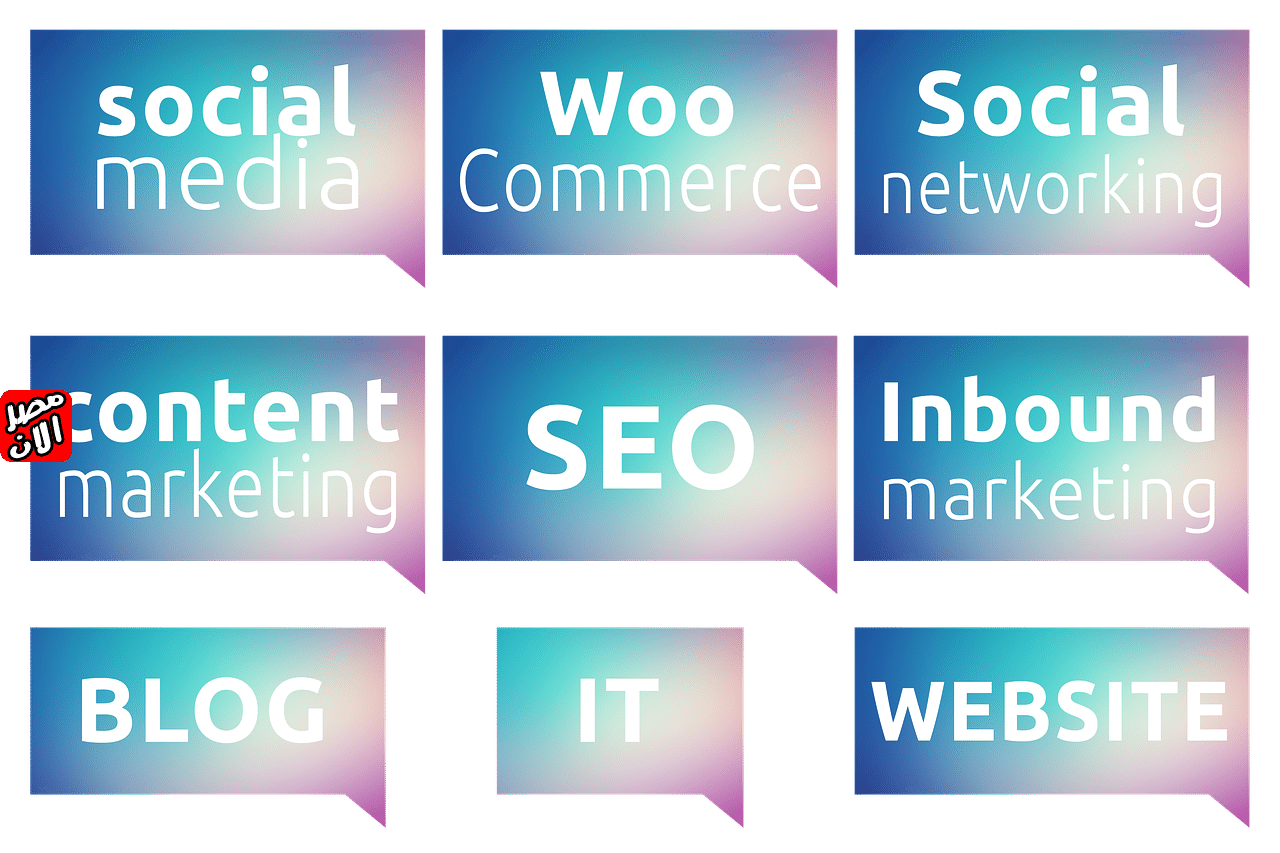 استراتيجيات السيو (SEO)