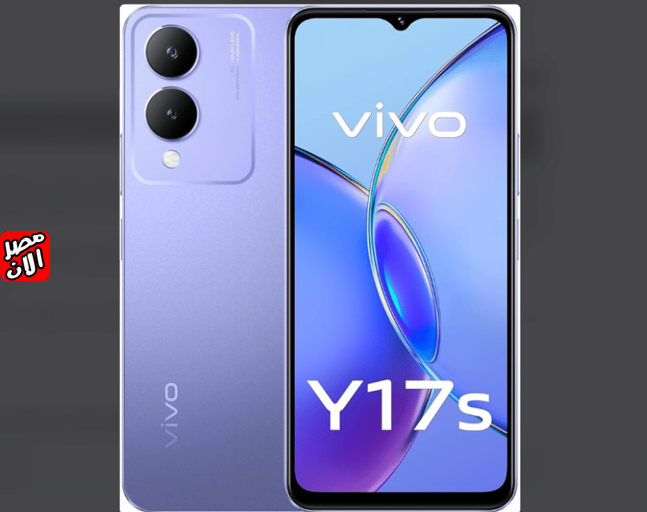 سعر و مواصفات Vivo Y17s