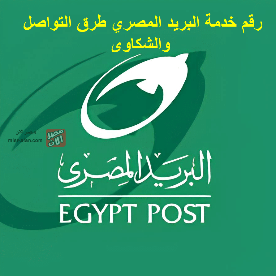 رقم خدمة البريد المصري طرق التواصل والشكاوى