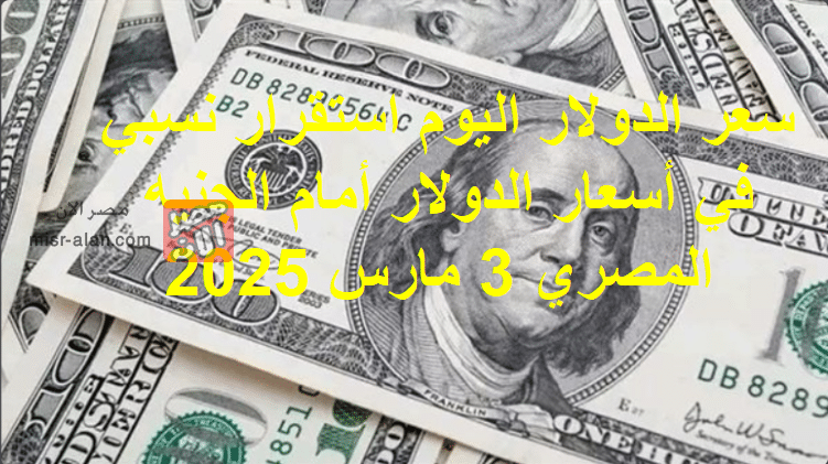 سعر الدولار اليوم استقرار نسبي في أسعار الدولار أمام الجنيه المصري 3 مارس 2025