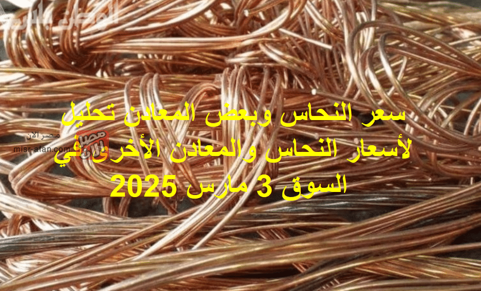 سعر النحاس وبعض المعادن تحليل لأسعار النحاس والمعادن الأخرى في السوق 3 مارس 2025