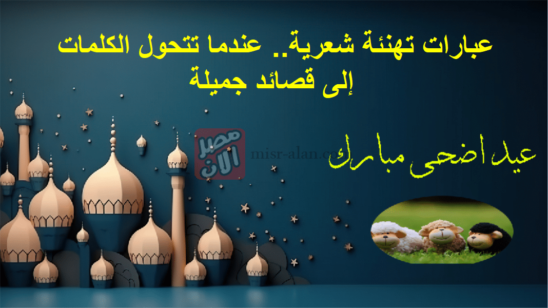 عبارات تهنئة شعرية.. عندما تتحول الكلمات إلى قصائد جميلة